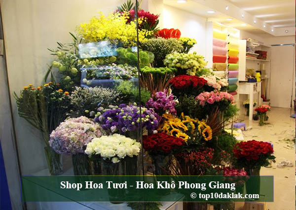 Shop Hoa Tươi - Hoa Khô Phong Giang