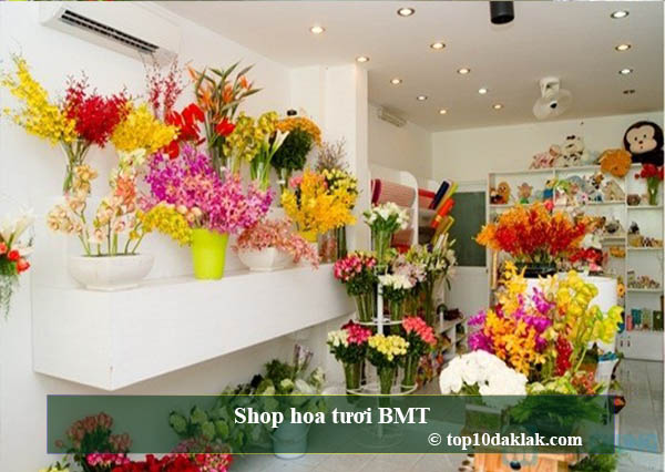 Shop hoa tươi BMT